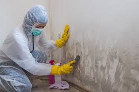 Best Real Estate Mold Inspection  in Haverhill, MA